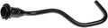 FUEL FILLER NECK
