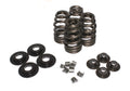 VALVE SPRING KIT, BEEHIVE