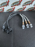 Haltech Bosch LSU 4.9 Wideband Sensor