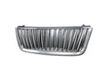 ARMORDILLO chrome auto part
