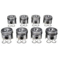 FO 6.0L DIESEL V8 (144060020) W/PCR PISTON WITH RINGS