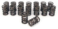 COMP Cams Valve Springs 1.400in 2 Spring