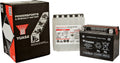 Yuasa YTX12-BS Maintenance Free AGM 12-Volt Battery w/Bottle