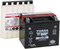 Yuasa YTX12-BS Maintenance Free AGM 12-Volt Battery w/Bottle