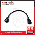 STANDARD IGN auto part