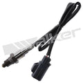 Walker Products Inc. - auto part
