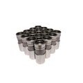 Pro Mag Hyd Flat Lifter Buick 181-252 V6