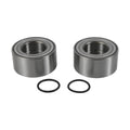 Pivot Works PW-Wheel Bearing Kit