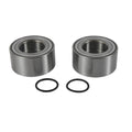 Pivot Works PW-Wheel Bearing Kit