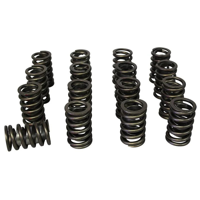 Howards Cams springs
