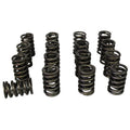 Howards Cams springs