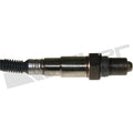 Walker Products Inc. - auto part