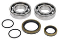 All Balls Racing 1995 Polaris Trail Boss 250 4x4 Crank Shaft Bearing Kit