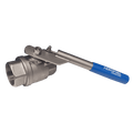 AUTO NOZZLE 60LTR/MIN RAPSOIL 1' FE