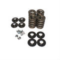 VALVE SPRING KIT, HARLEY