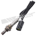 Walker Products Inc. - auto part