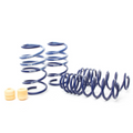 H&R Replacement Front Spring for Kit 28639-8