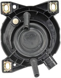 FOG LIGHT