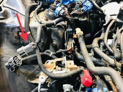 Rywire 92-96 Honda Prelude M/T Chassis Adapter (Must Send RYW 2-Pin Core Connector / Drop Ship Only)