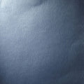 Covercraft UVS100 Custom Sunscreen - Blue