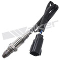 Walker Products Inc. - auto part
