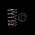 Brian Crower Honda L15 Single Valve Springs (Set of 16)