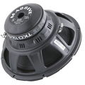 12IN 300 WATTS RMS DUAL 4 OHM SUBWOOFER