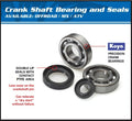 All Balls Racing 1993 Husqvarna CR250 Crank Shaft Bearing Kit