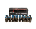 GEN 5 Beehive Springs - .550 Lift (16)