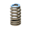 GEN 5 Beehive Springs - .550 Lift (16)