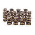 Outer Valve Spring With Damper- 1.494 Dia.