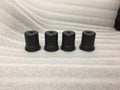 Rear Conrol Arm Bushings