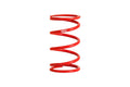Eibach springs detail
