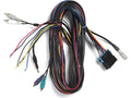 BOSE INTEGRATION TUNER BYPASS