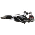 SUSPENSION CONTROL ARM AND BALL JOI