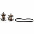 ~(2 lbs. 11X5X3)~ 2008-10 Ford 6.4L Power Stroke Thermostat Kit