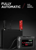 Schumacher Electric auto part