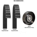 SERPENTINE BELT KIT