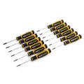 SET SCRDR DUAL MAT MINI 12PC