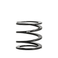 Eibach springs detail