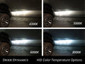 Diode Dynamics - HID Bulb D2R 6000K (pair)