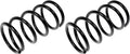 COIL SPRINGS