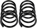COIL SPRINGS