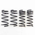 RSR Forged springs close-up
