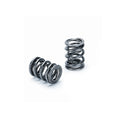 Supertech Honda B16A/B17A/B18C Dual Valve Spring - Set of 16