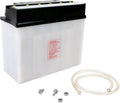 Yuasa Y50-N18A-A Yumicron 12-Volt Battery