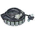 Arrowhead Suzuki 12V Stator