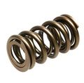 Valve Springs - HR Series (16)