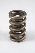 PAC RACING SPRINGS springs detail