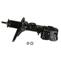 OESPECTRUM PREMIUM STRUT